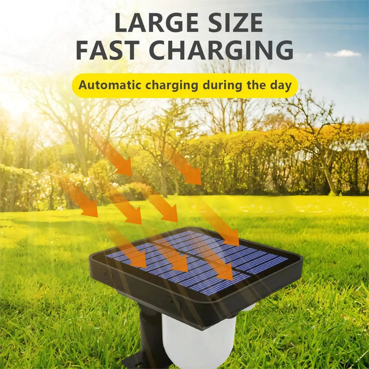 Solar Lights Outdoor
